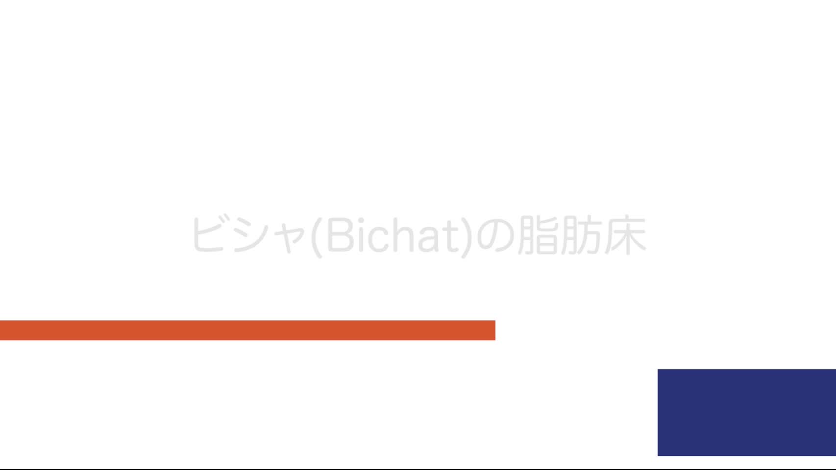 3-0_ビシャ（Bichat）の脂肪床